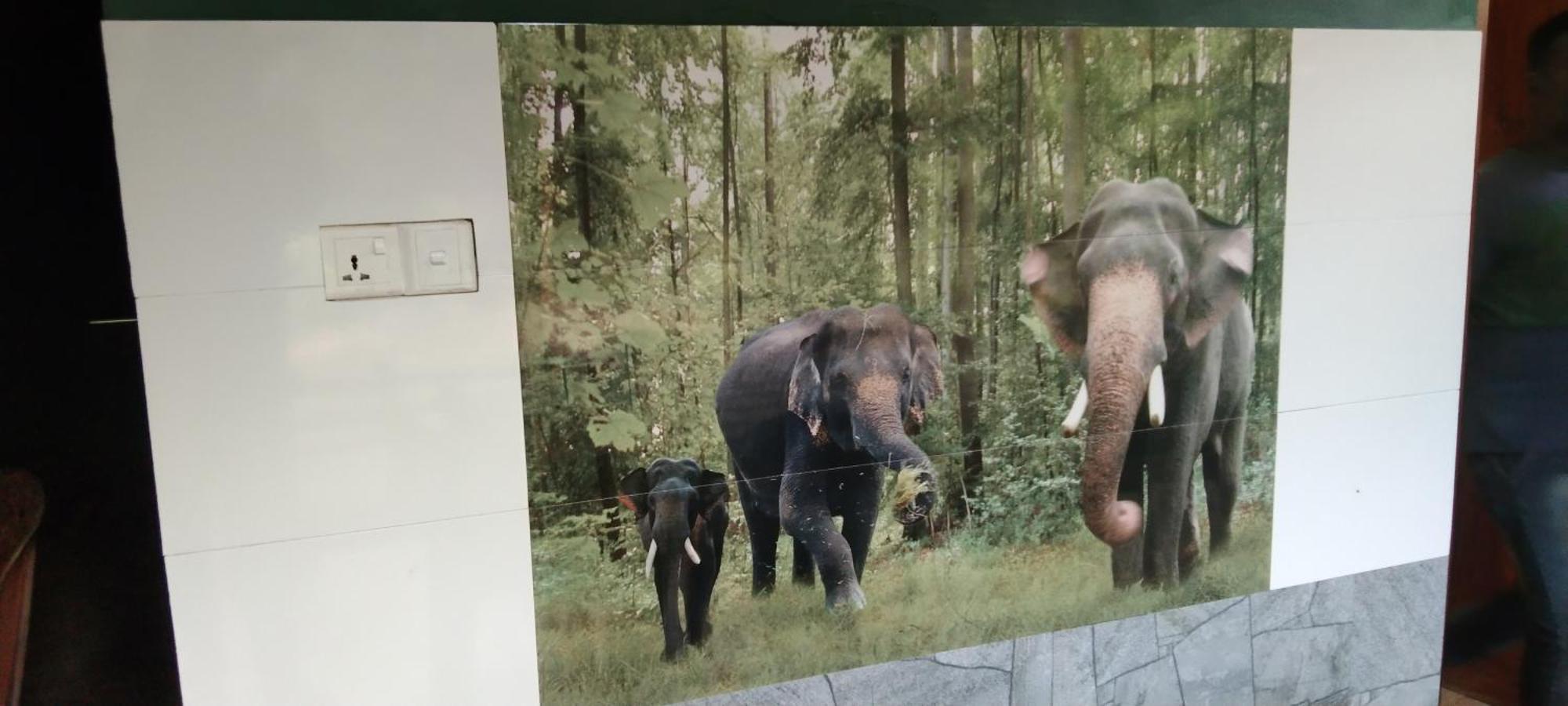 Kanneliya Eco Garden Hotel Koralegama Luaran gambar